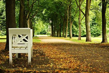 tree-lined park with white chairs